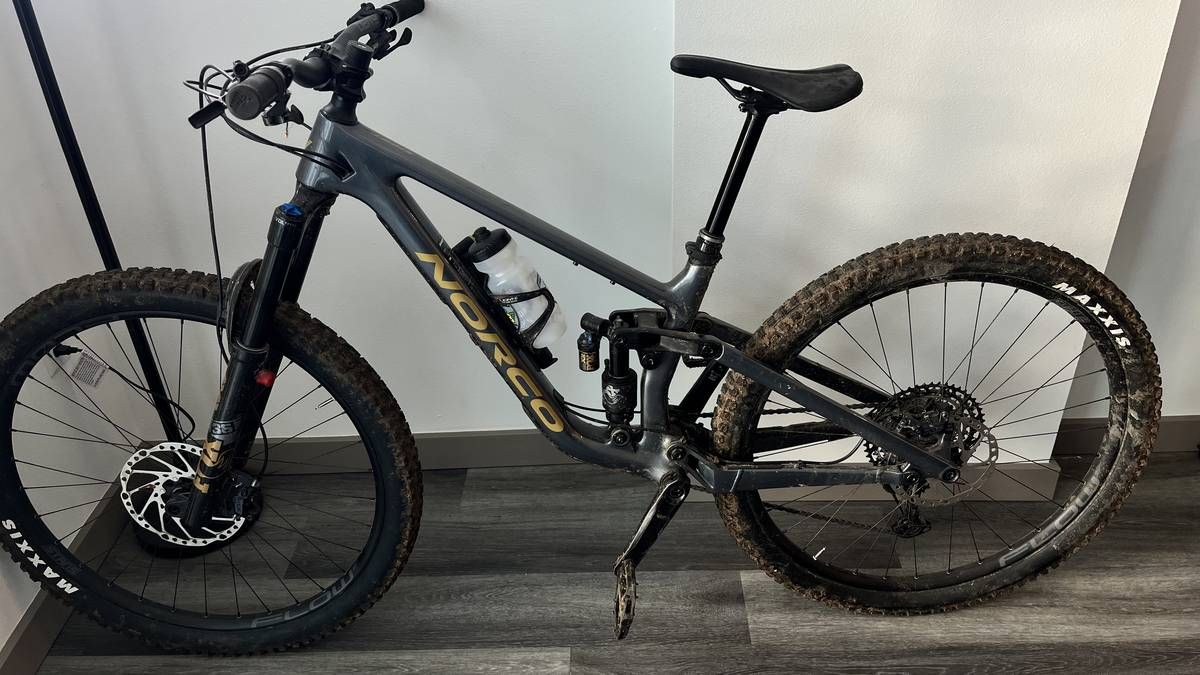 2023 Norco Sight